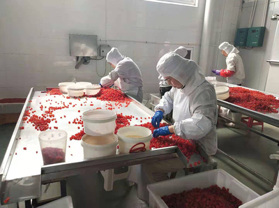 果脯加工厂家,果酱加工厂,果干加工厂-莱阳市味丰食品有限公司 - 味丰